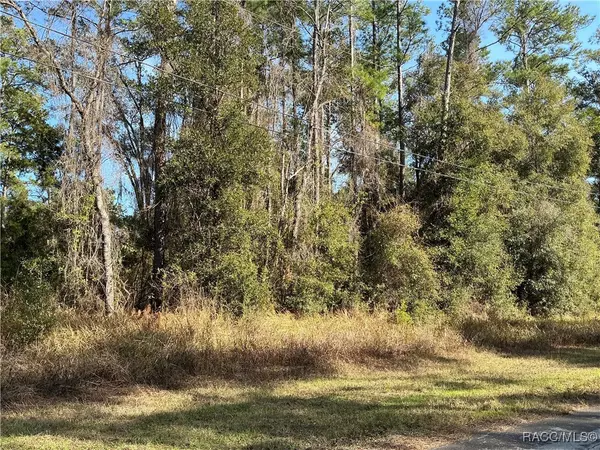 Citrus Springs, FL 34434,9879 N Athenia DR