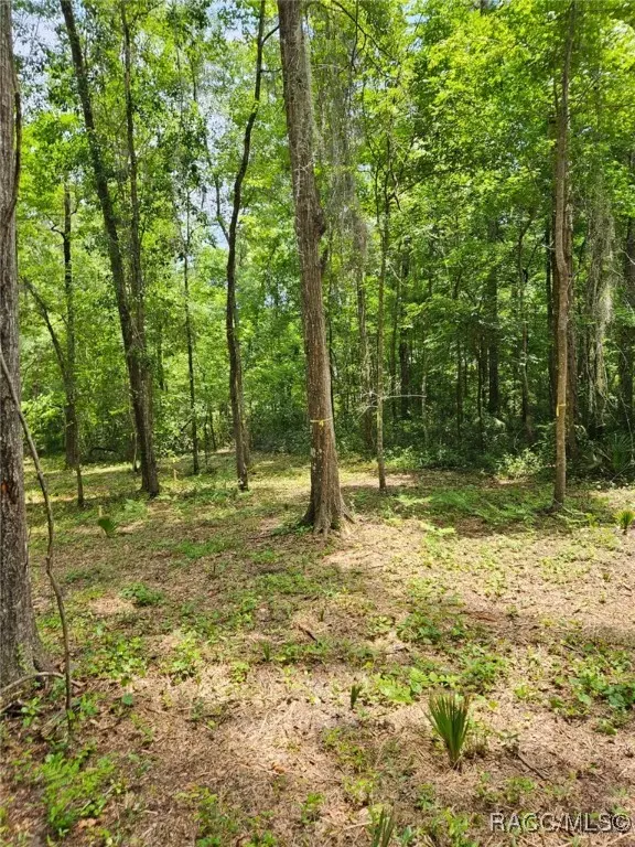 Ocala, FL 34482,0 NW 83rd Court RD