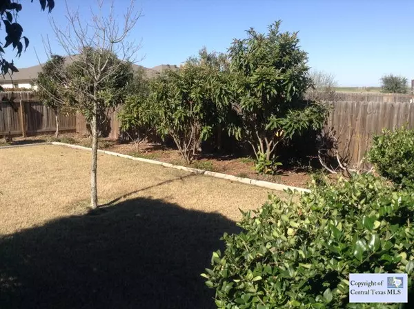 Lockhart, TX 78644,707 Indian Blanket
