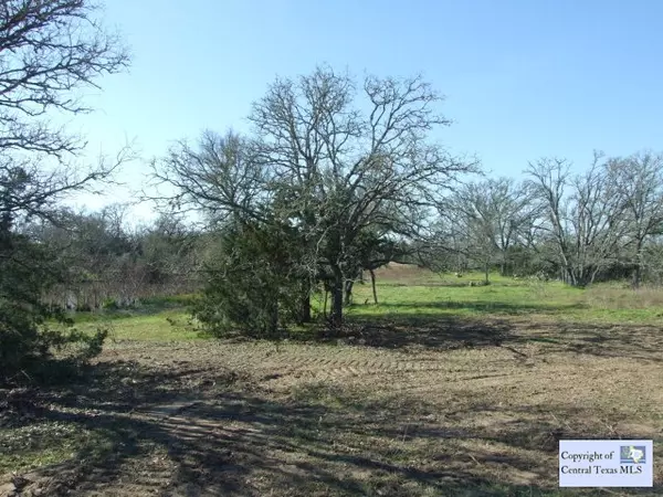 Dale, TX 78616,TBD Old Colony Line RD