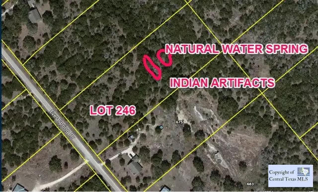 Canyon Lake, TX 78133,663 Eves Spring DR #246