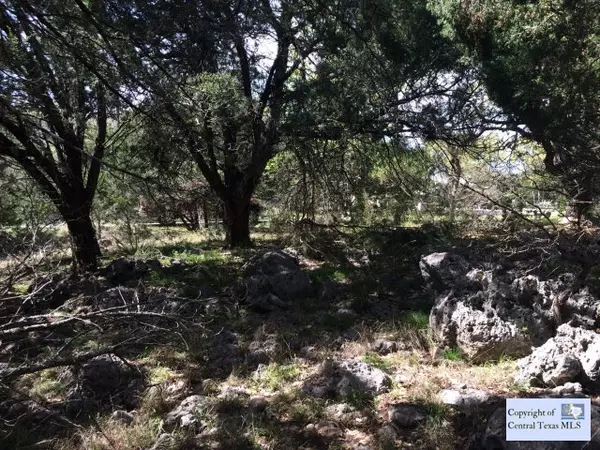 Spring Branch, TX 78070,1633 Winding Creek TRL