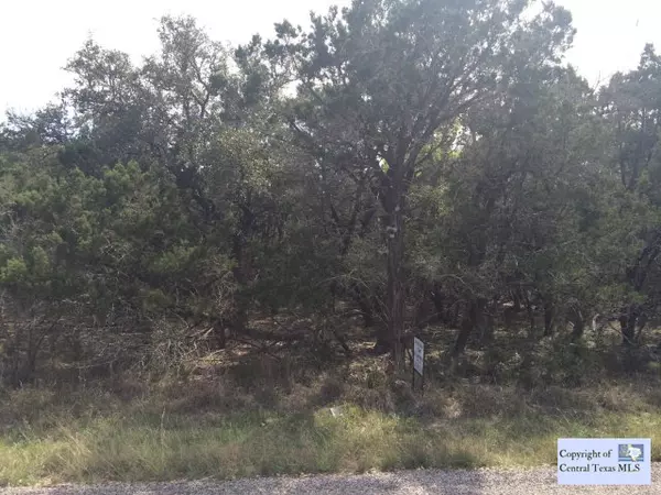 Spring Branch, TX 78070,2376 Hornsby