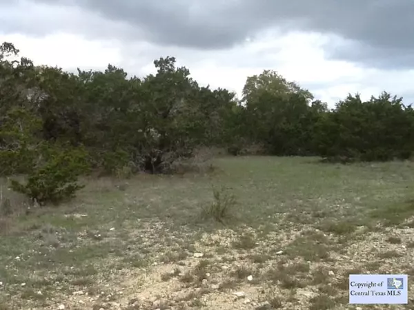 167 Lipizzan LN #4, Spring Branch, TX 78070