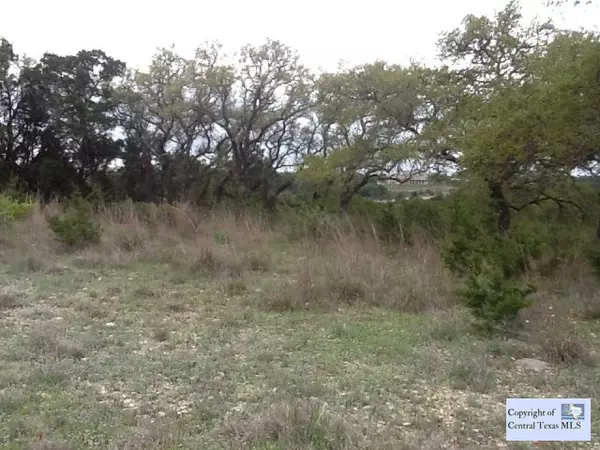 Spring Branch, TX 78070,167 Lipizzan LN #4