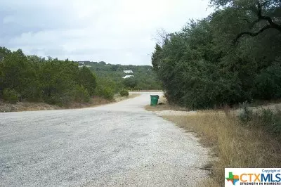 176 BUCKSKIN CT, Fischer, TX 78623