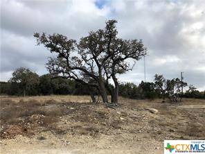 100 Taylor Creek WAY, Liberty Hill, TX 78642