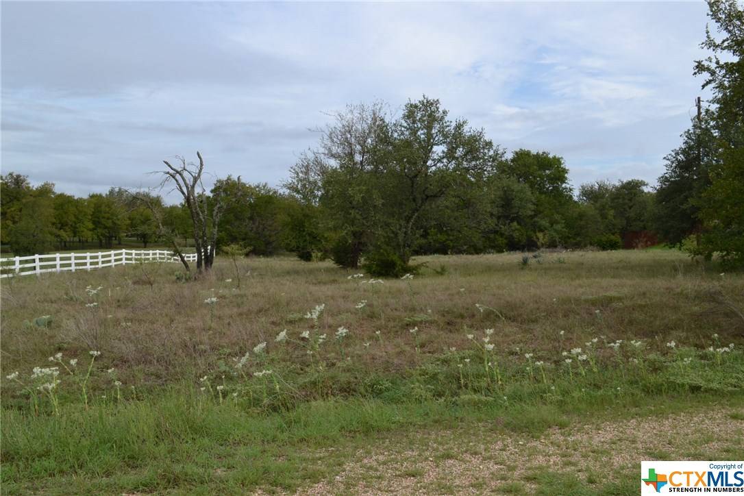 Kempner, TX 76539,Lot 37A Block 1 Lampasas River PL