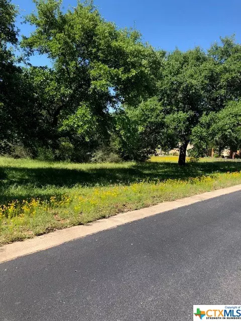 Kingsland, TX 78639,Lot 18 River Park DR