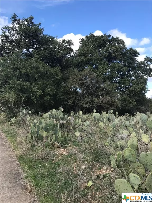 San Marcos, TX 78666,0 Craddock @ Bishop ST