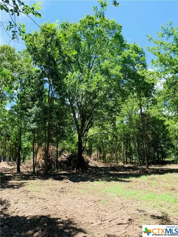 Edna, TX 77957,Lot 2 W Cedar St