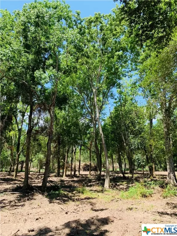 Edna, TX 77957,Lot 2 W Cedar St