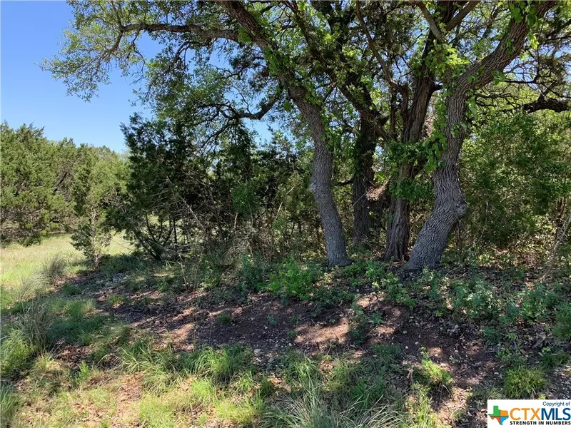 1060 Yaupon DR, Fischer, TX 78623