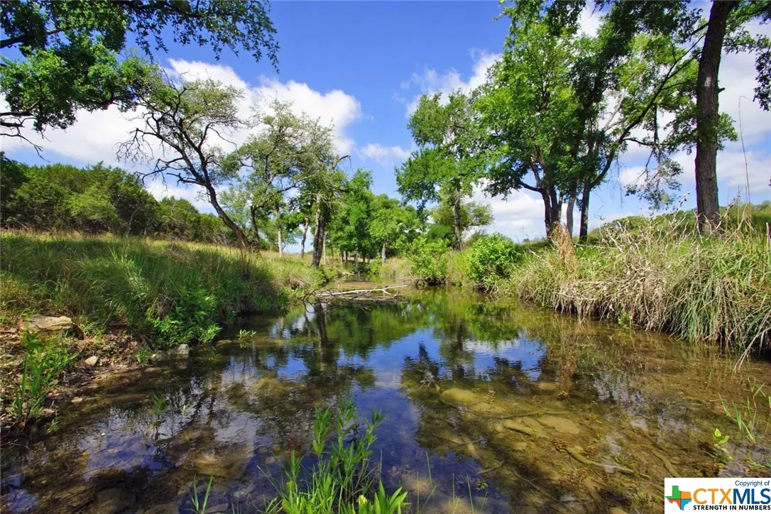 Briggs, TX 78608,Lot 11B County Road 225