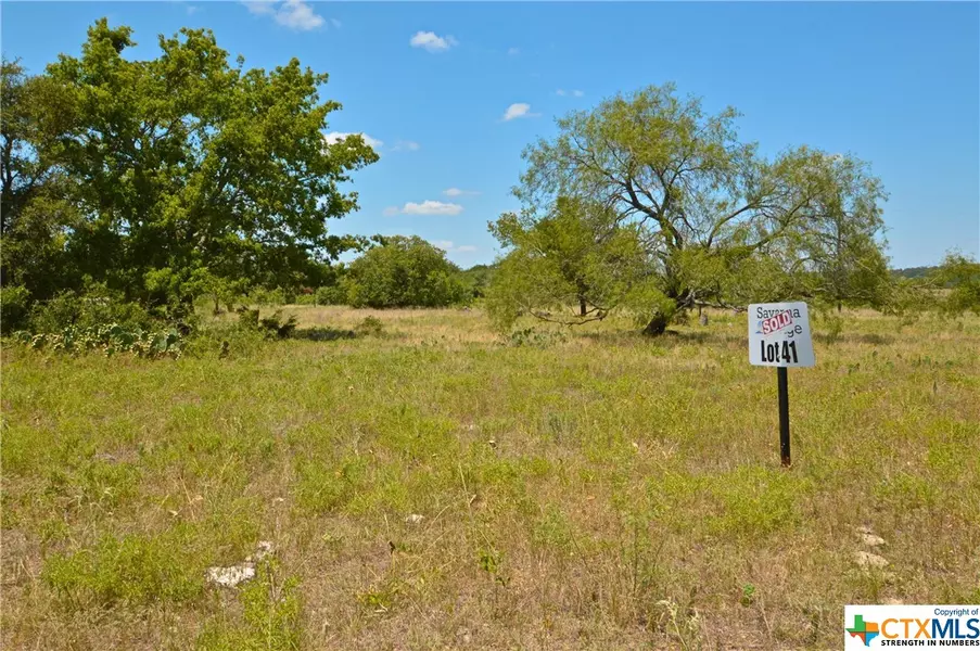 0 County Road 2800, Other, TX 76853