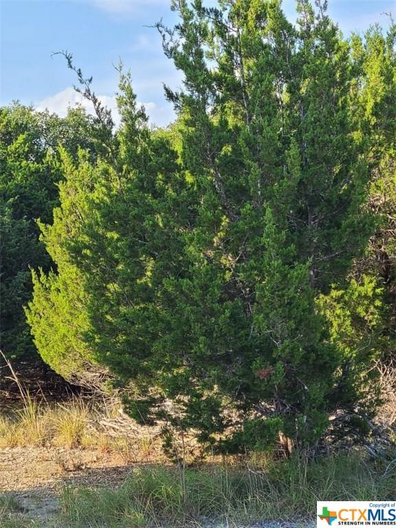 Dripping Springs, TX 78620,10600 Creekwood CIR