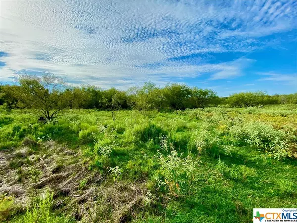 Marlin, TX 76661,0 County Rd 113