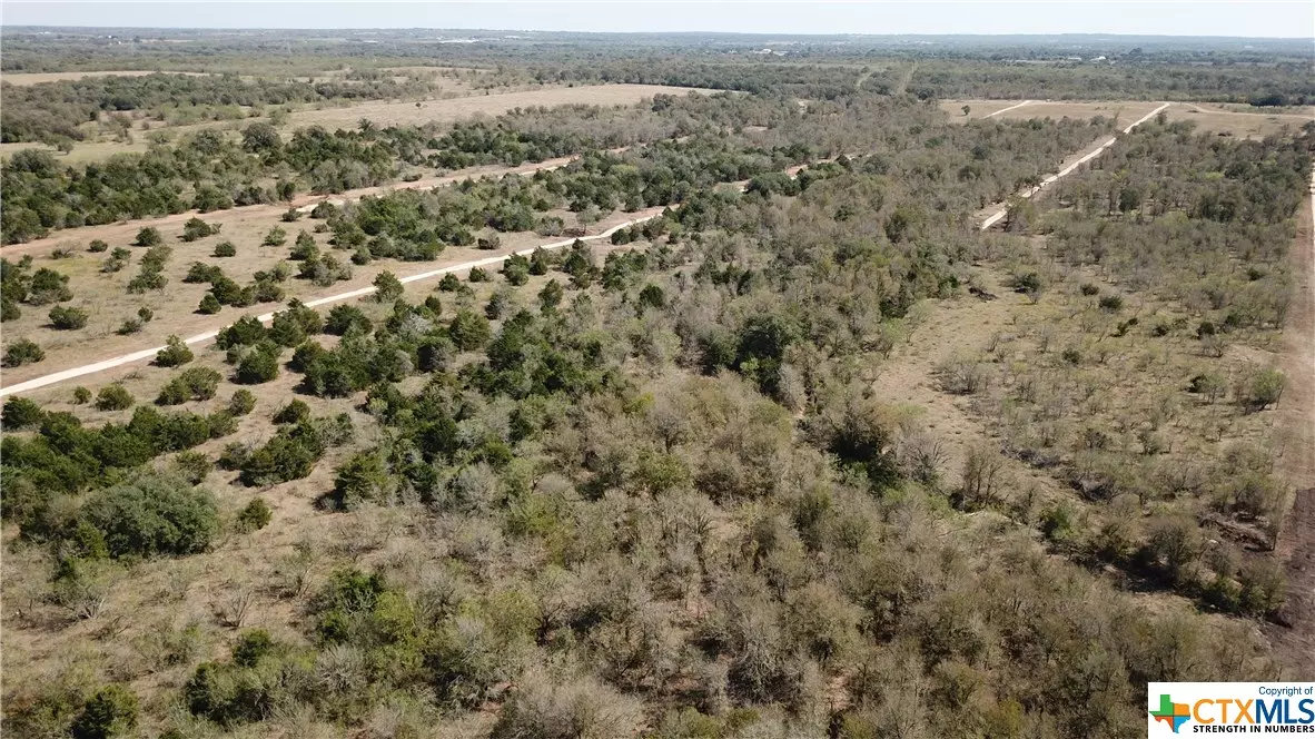 Red Rock, TX 78662,TBD Tract C Wilson RD