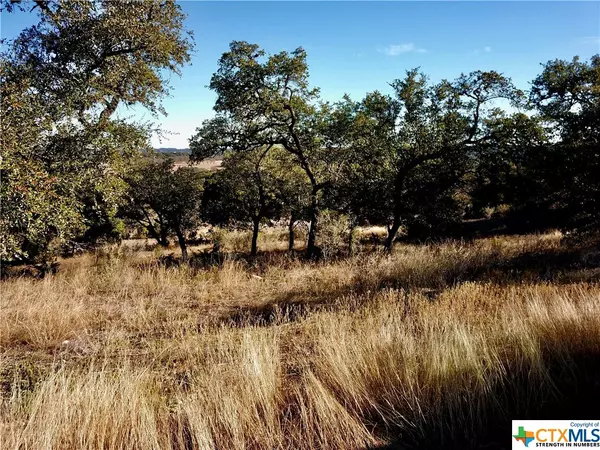 Spring Branch, TX 78070,3173 Campestres
