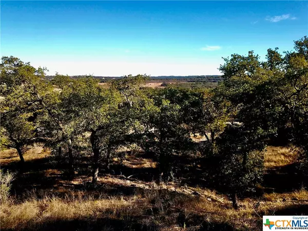 Spring Branch, TX 78070,3173 Campestres