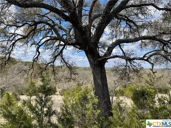 Spicewood, TX 78669,43 Oak Meadow TRL