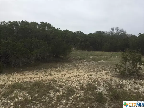 Spring Branch, TX 78070,168 Mustang LN