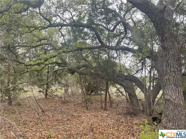 Spicewood, TX 78669,190 Spicewood Trail DR