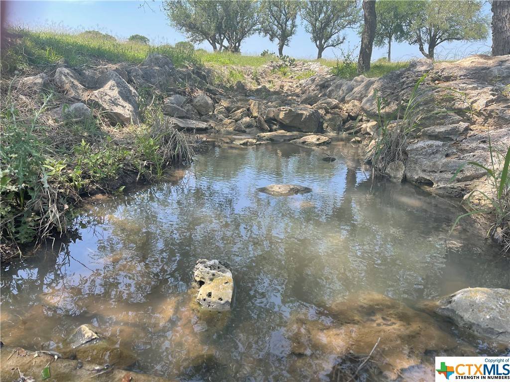 Spicewood, TX 78669,25409 Cliff XING
