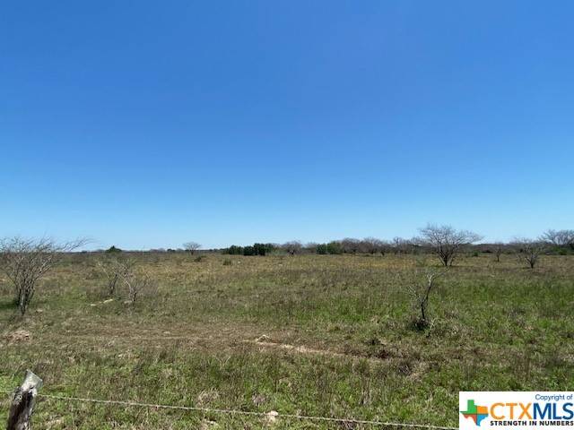 Thomaston, TX 77989,000 Wolf Hollow RD