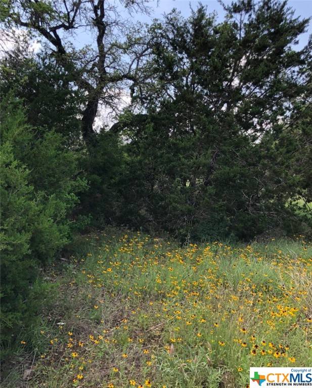 Georgetown, TX 78628,210 Shelf Rock RD
