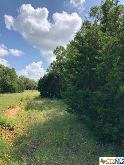 210 Shelf Rock RD, Georgetown, TX 78628