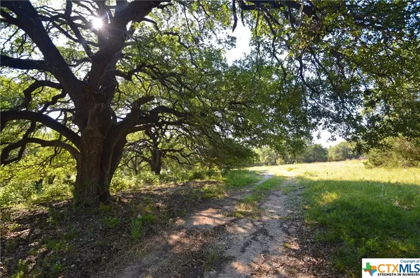 Oakalla, TX 78608,0 N Fm 963/W SD