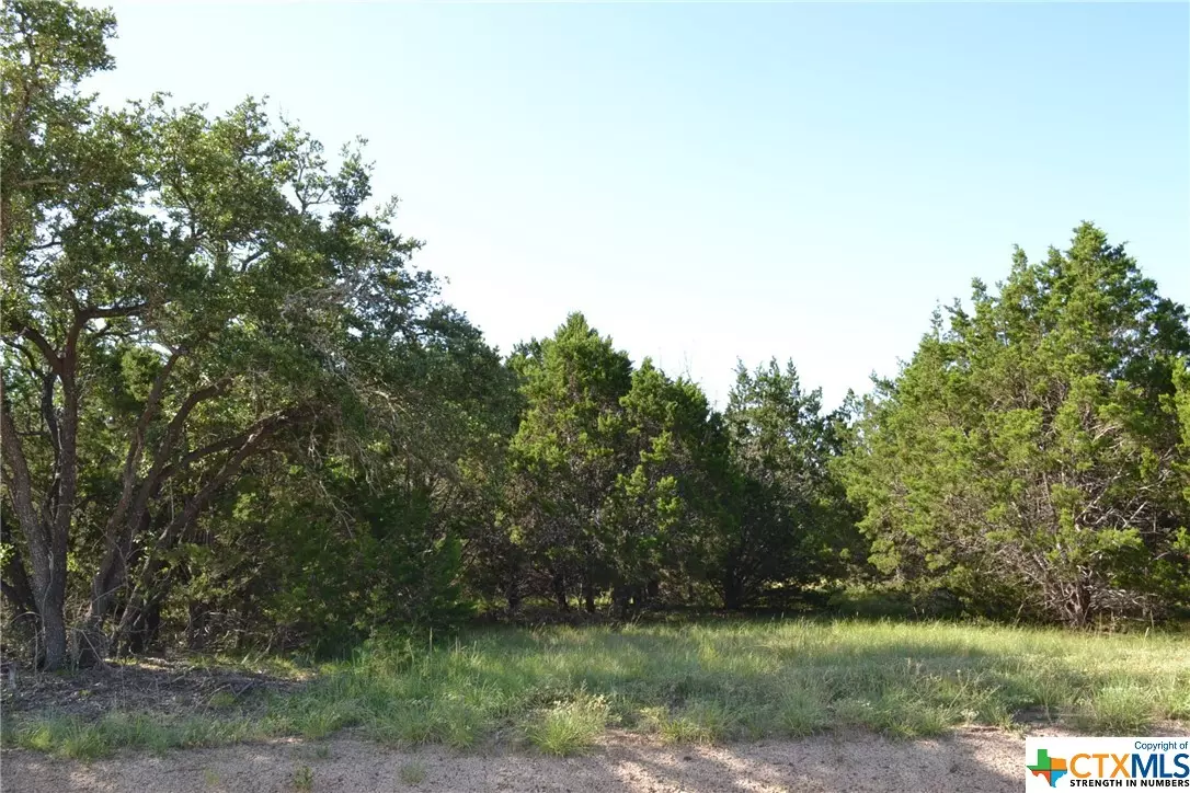 Kempner, TX 76539,Block 7, Lot 16 Lampasas River Place Phase Two