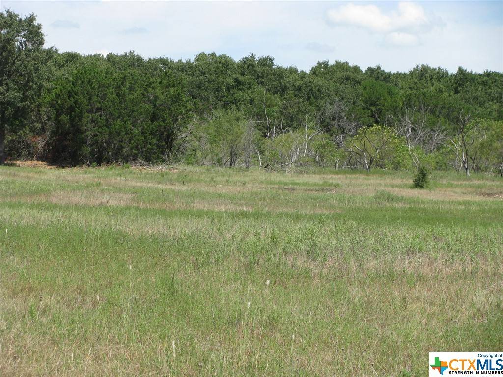 Jonesboro, TX 76538,TBD-23 County Rd 102