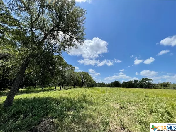 Gonzales, TX 78629,167 Cannon Creek DR