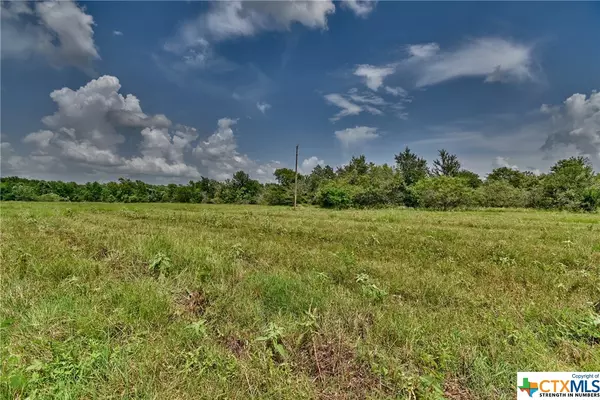 Rockdale, TX 76567,1290 County Road 302