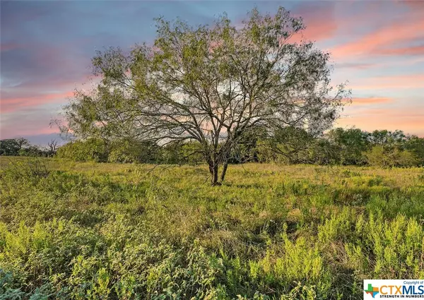 Harwood, TX 78632,TBD Hwy 90 HWY