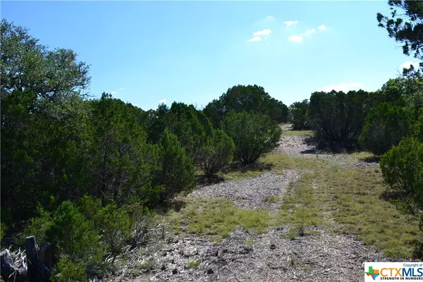 Evant, TX 76525,TBD Lots 68 and 69