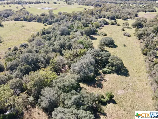 Flatonia, TX 78941,Tract 1 Burke RD