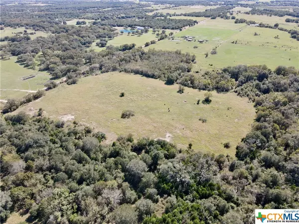 Flatonia, TX 78941,Tract 1 Burke RD