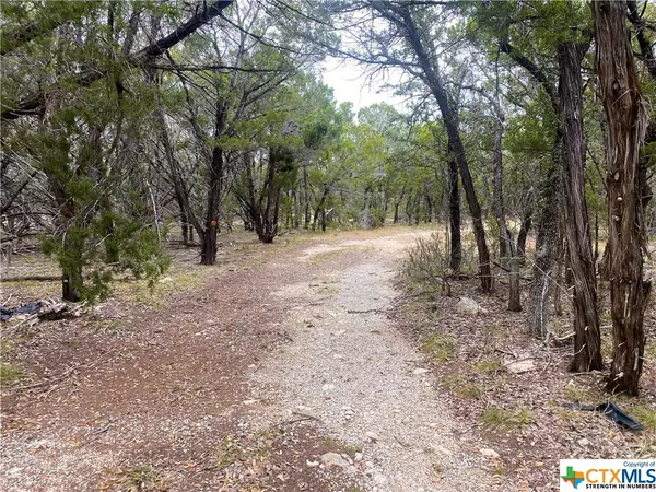 Dripping Springs, TX 78620,lot 8B Roy Creek TRL