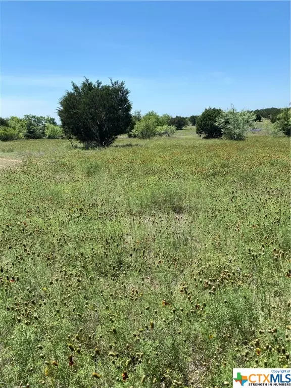 Other, TX 78611,Tract C TBD 4805 County Road 206