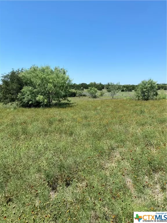 Other, TX 78611,Tract C TBD 4805 County Road 206