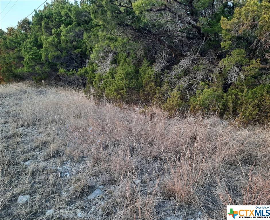 Lampasas, TX 76550,211 COUNTY ROAD 4359