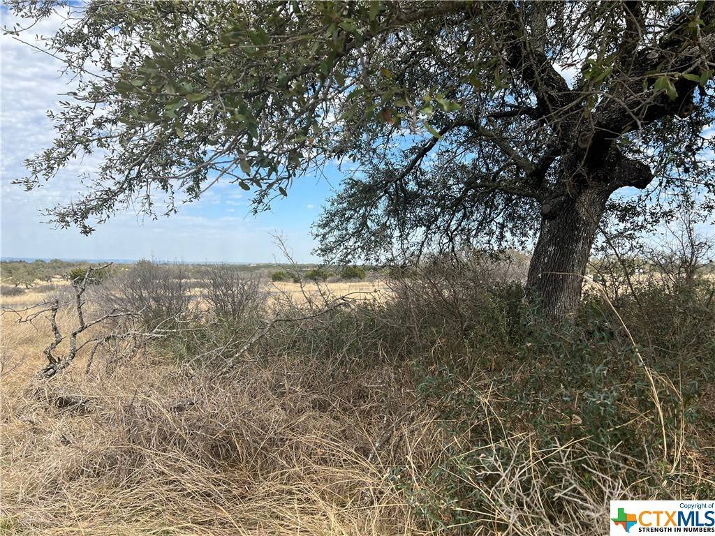 Round Mountain, TX 78663,25 Kylie Rae CT