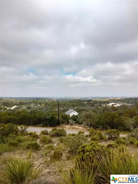 560 Ledgeview DR, Canyon Lake, TX 78133