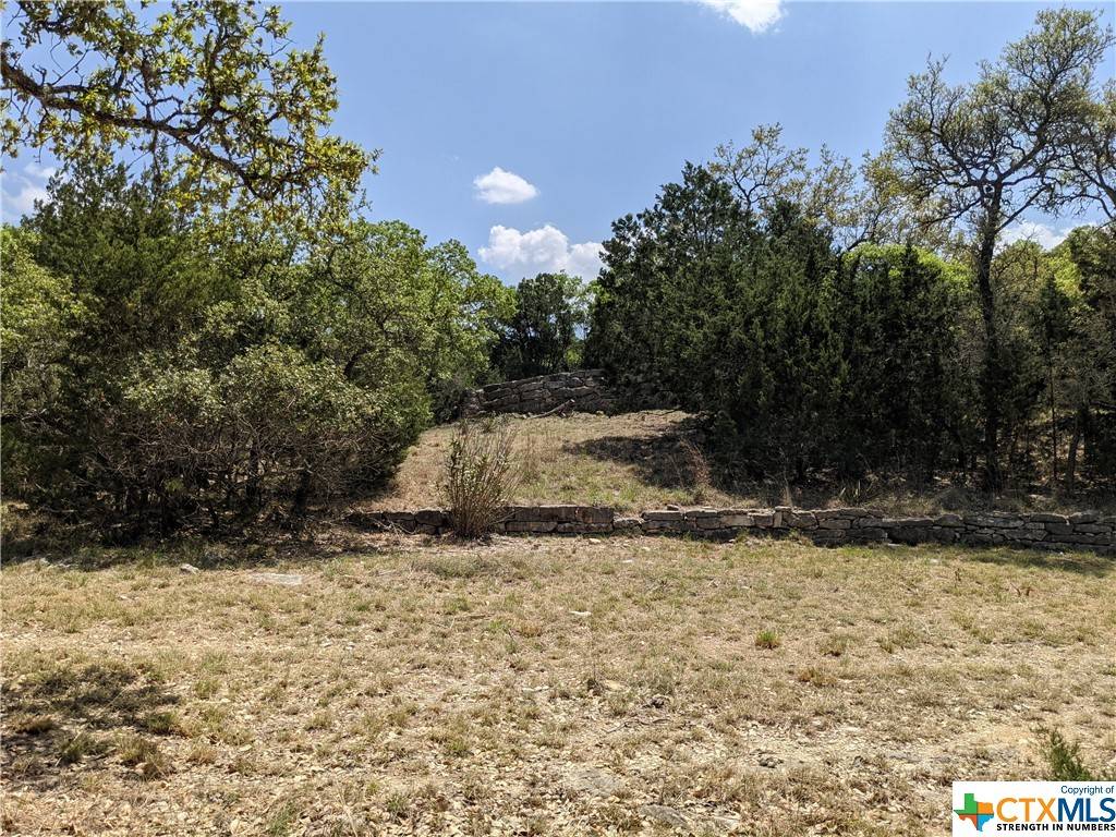 Canyon Lake, TX 78133,123 Calhoon CT