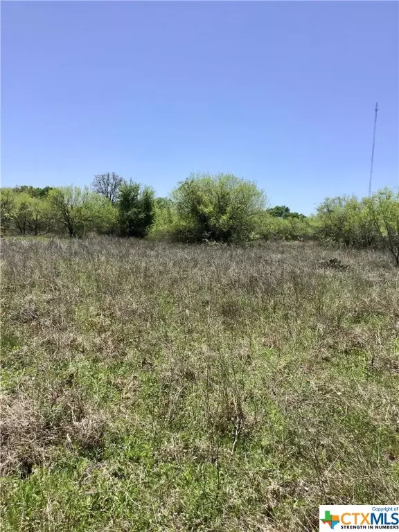 Luling, TX 78648,TBD Lot 20 Plant RD