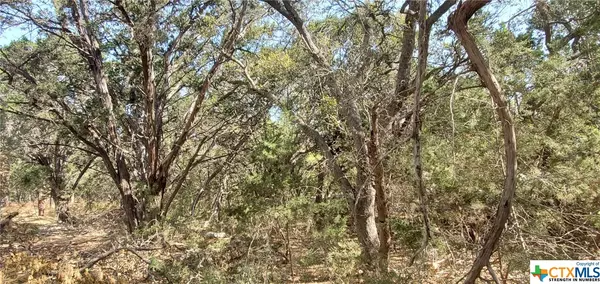 Spring Branch, TX 78070,1133 Sunset Park RD #36