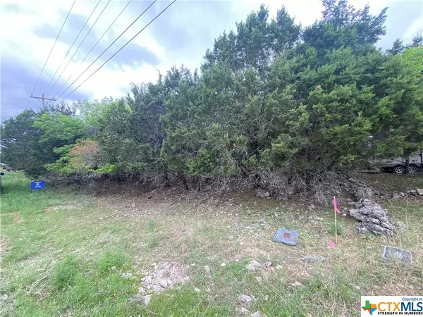 15945 Crockett DR, Temple, TX 76502